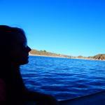 Petiskaria Santa Cruz